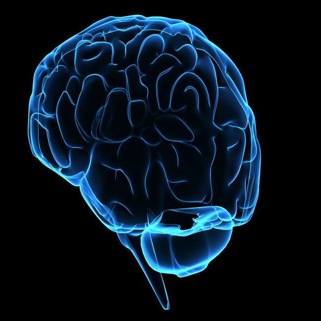 Oorzaak tremoren parkinsonpatiënten te vinden in de kleine hersenen